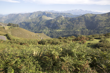 Fototapeta na wymiar Picos de Europa Mountain from Alto del Torno, Austurias