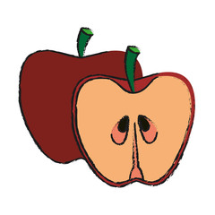 Apples in halves fruit icon vector illustration graphic design
