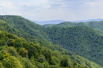 Mountain forest landscape at the foot of the Caucasus Mountains, Adygea, Russia