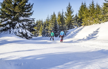 Fototapeta na wymiar Langlaufen in Winterlandschaft