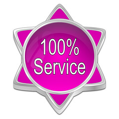 100% Service button - 3D illustration