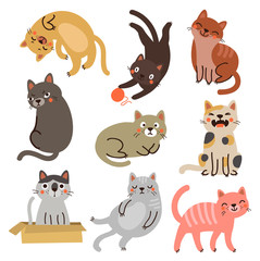 9 cute cats