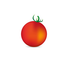 Tomato with shadow. Isolated on white background. Vector illustration.
