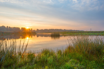 Naklejka premium Shore of a pond at sunrise in summer