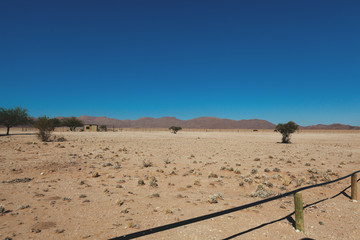 Namibia desert, Veld, Namib 
