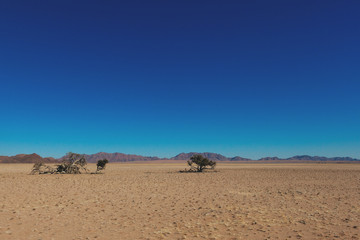 Namibia desert, Veld, Namib 