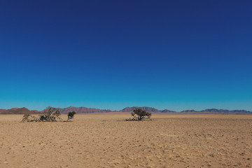 Fototapeta na wymiar Namibia desert, Veld, Namib 