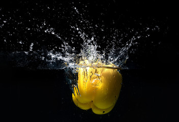 Colorful sweet pepper with water splash