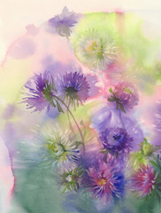 Fototapeta na wymiar Bouquet of color asters watercolor background