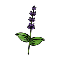 beautiful flower symbol icon vector illustration graphic design