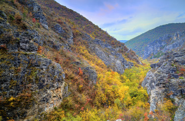 Fototapeta na wymiar Beautiful mountain landscape with colorful autumn forest
