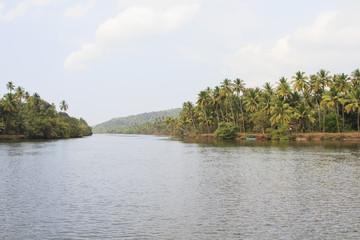 Tiracol river at sunny day, Goa India