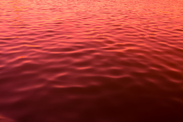 red color abstract background of liquid wave based on water wave