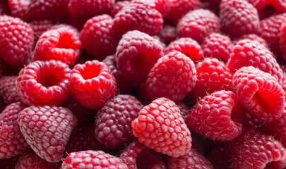 Малина ягоды (Rubus idaeus)