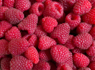 Малина ягоды (Rubus idaeus)