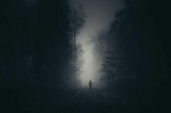 Fototapeta man shadow on dark scary forest path, mystery landscape