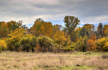 Beautiful landscape with colorful autumn forest