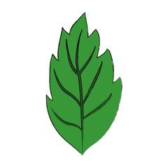 Leaves eco symbol icon vector illustration graphic design