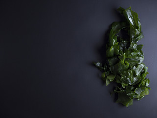 Japanese wakame seaweed soaked in water, isolated on black background © NannaKirkegaard