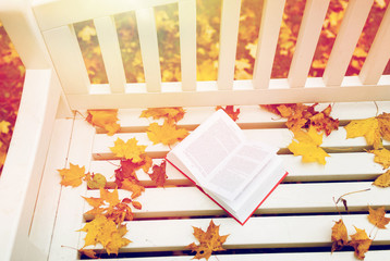 open book on bench in autumn park