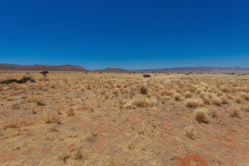 Namibia desert, Veld, Namib 