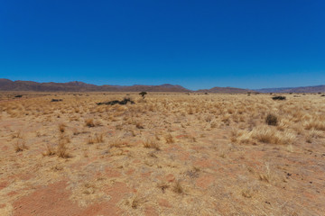 Namibia desert, Veld, Namib 