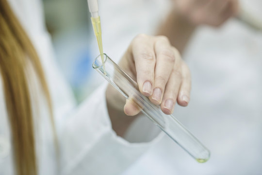Lab worker experimenting with test tube, close-up
