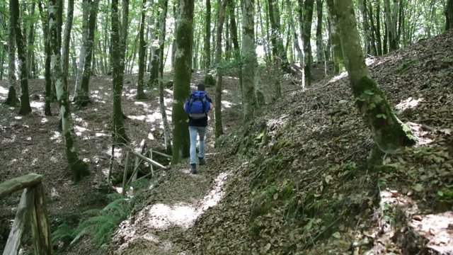 Esploratore ragazzo sta camminando nella foresta in montagna 
