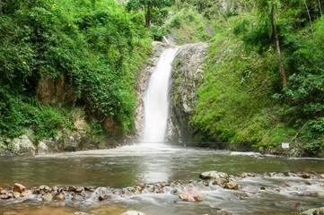 Waterfall in the forest.