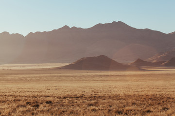 Namibia desert , Veld , Namib  - 170298826