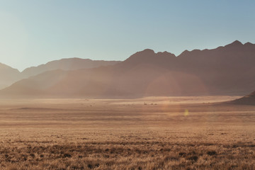 Namibia desert , Veld , Namib  - 170298854