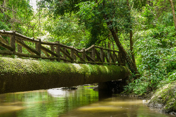 The old bridge in national park.