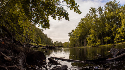 Fall Trees and River