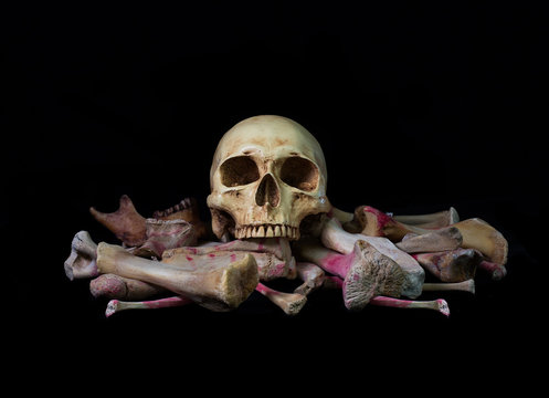 Skull on pile bone on black background in Halloween night
