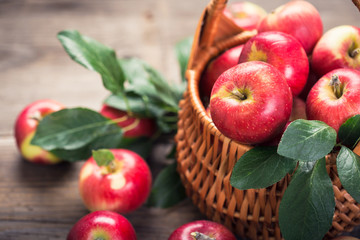 Fresh red apples in the basket