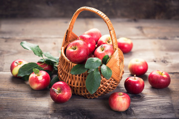 Fresh red apples in the basket