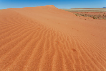 Namibia desert , Veld , Namib 