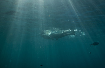 Man swimming underwater