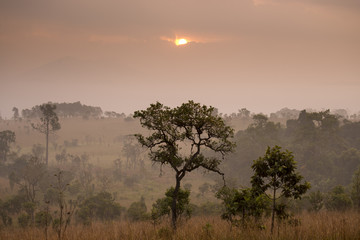 Sunrise with landscape tropical forest view during winter.