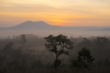 Sunrise with landscape tropical forest view during winter.