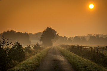 Sunrise in foggy fields