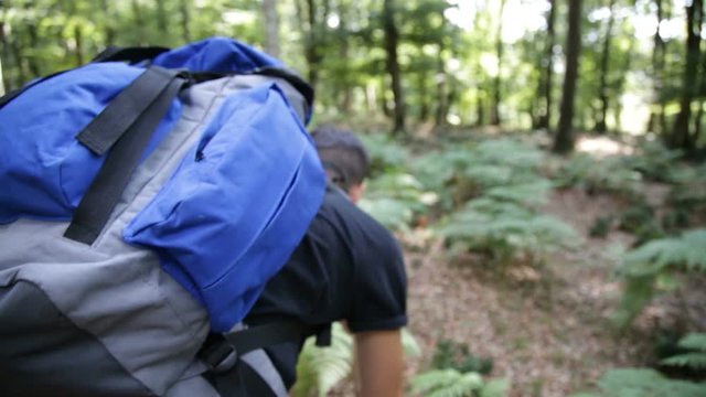 Fotografo sta fotografando delle piante con l'obbiettivo macro in montagna 