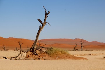 w&uuml;ste - Namibia