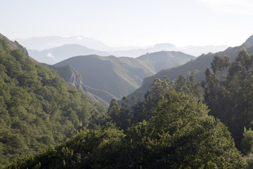 Fototapeta na wymiar Picos de Europa Mountain near Alto del Torno; Austurias
