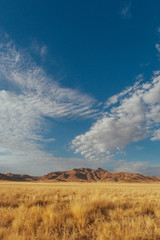 Namibia desert , Veld , Namib 