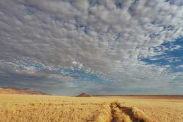 Obraz premium Namibian desert , Veld , Namib 