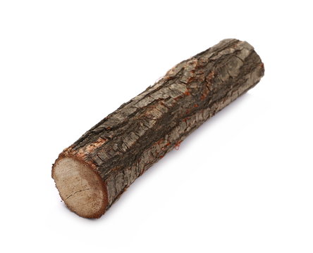 oak stump, log fire wood isolated on white background with clipping path