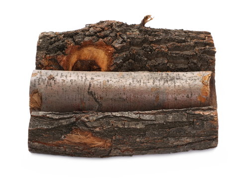 oak and beech stump, log fire wood isolated on white background with clipping path