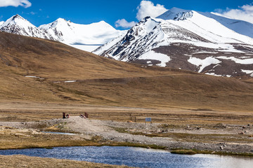 Barskoon (Arabel) Syrts at Issyk Kul Region