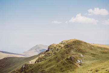 Fototapeta premium Herd of cows grazing in hill
